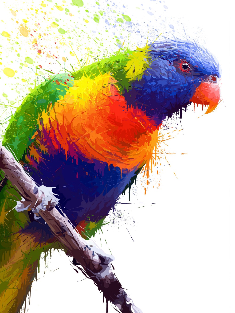 Rainbow Parrots | Diamond Painting