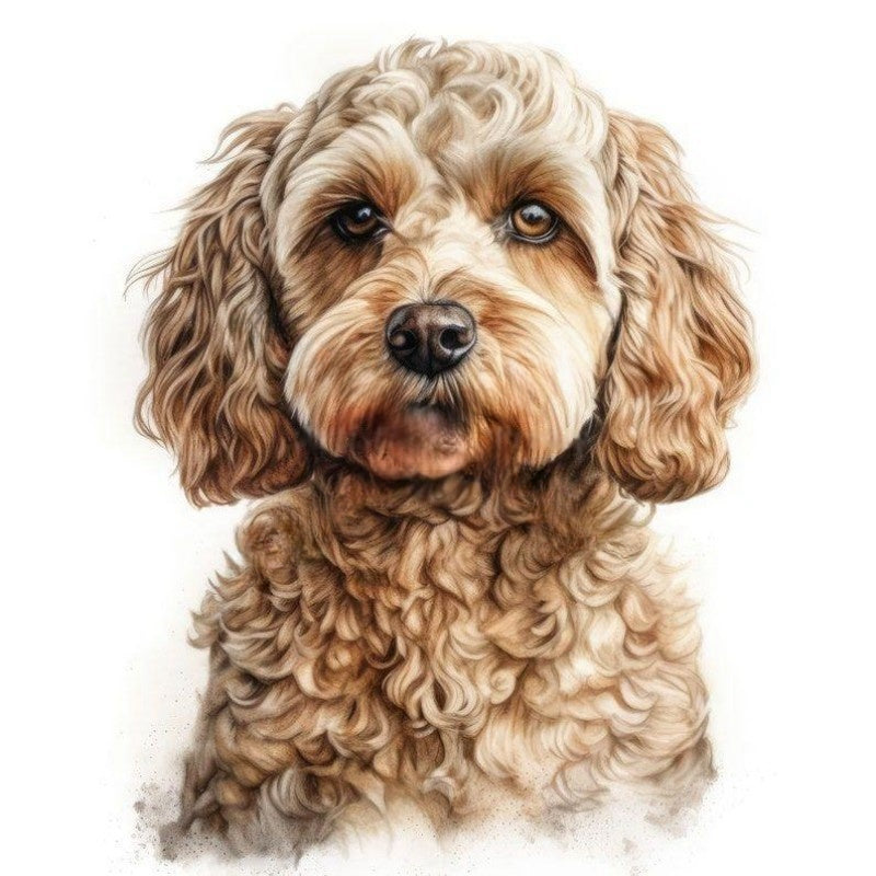 Havanese Dog | Diamond Painting