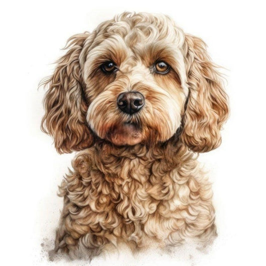 Havanese Dog | Diamond Painting