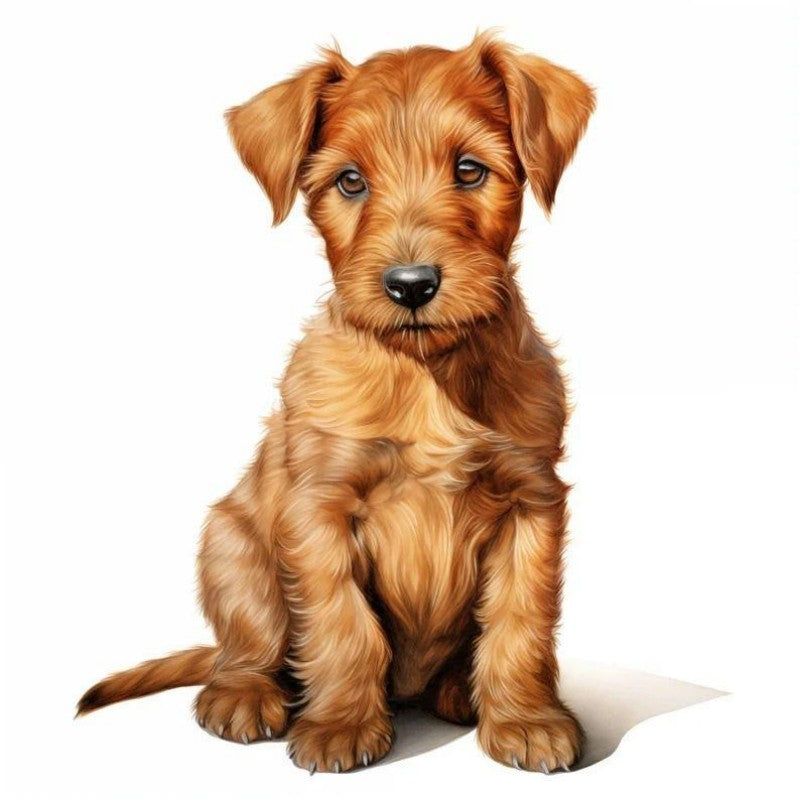 Dog Border Terrier | Diamond Painting