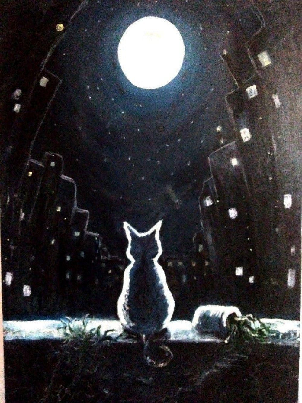 Midnight Cat | Diamond Painting