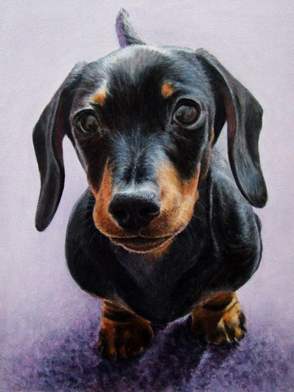 Dachshund Dog | Diamond Painting