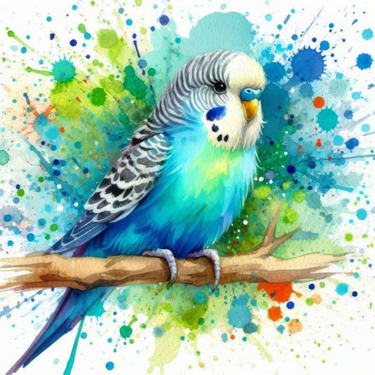 Budgie | Diamond Painting