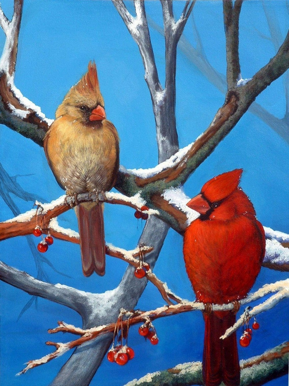 Cardinal | Diamond Painting