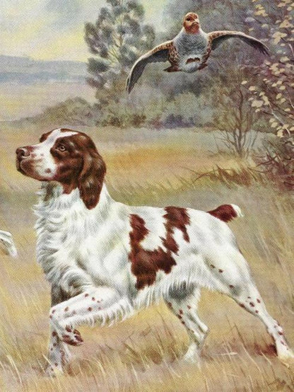 Brittany Spaniel Dog | Diamond Painting
