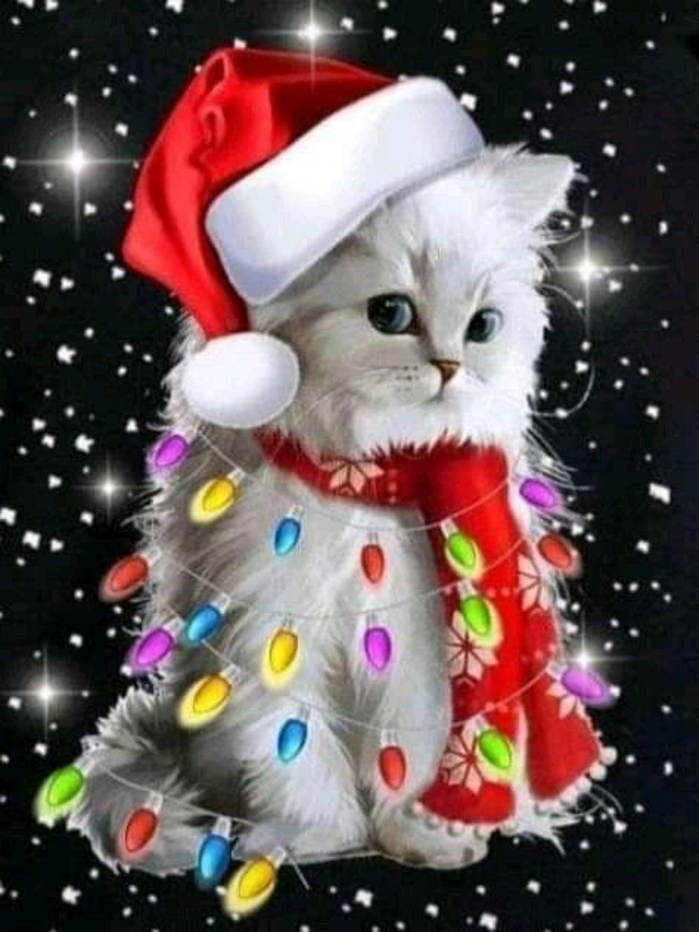 Christmas cat | Diamond Painting