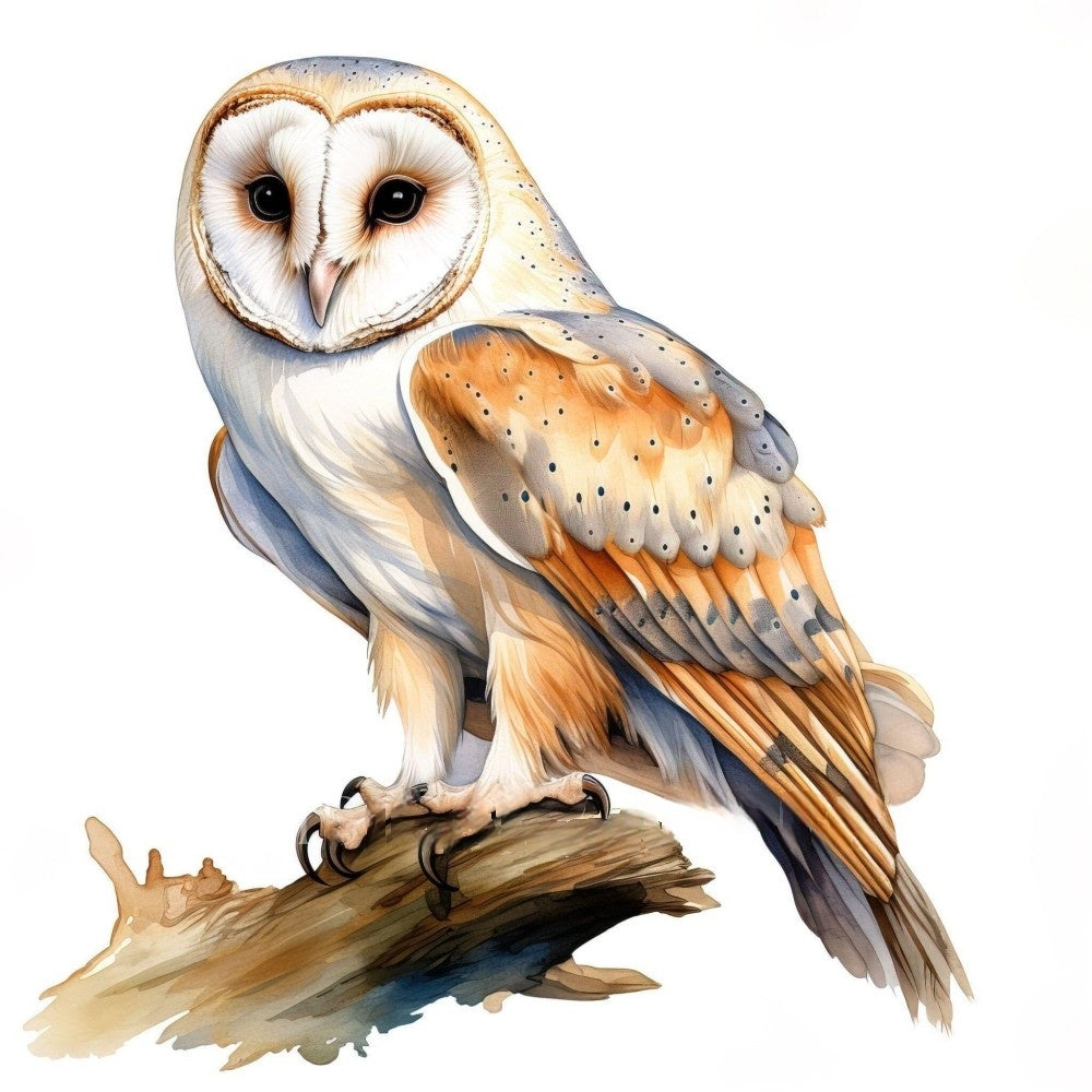 Barn Owl | Diamond Painting