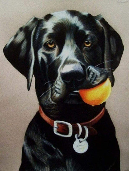 Black Labrador Dog | Diamond Painting