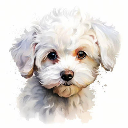 Dog Bichon Frise | Diamond Painting