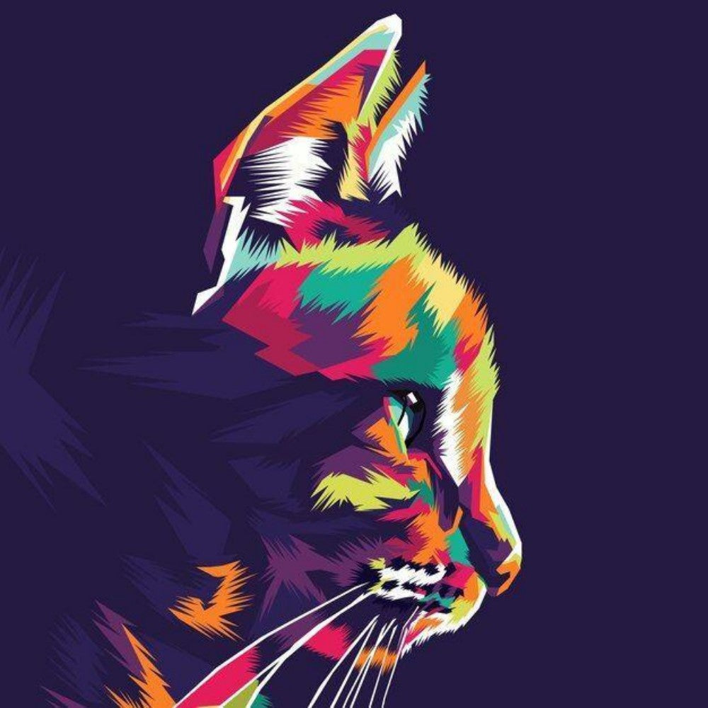 Colorful Cat | Diamond Painting