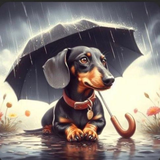 Dachshund Dog | Diamond Painting