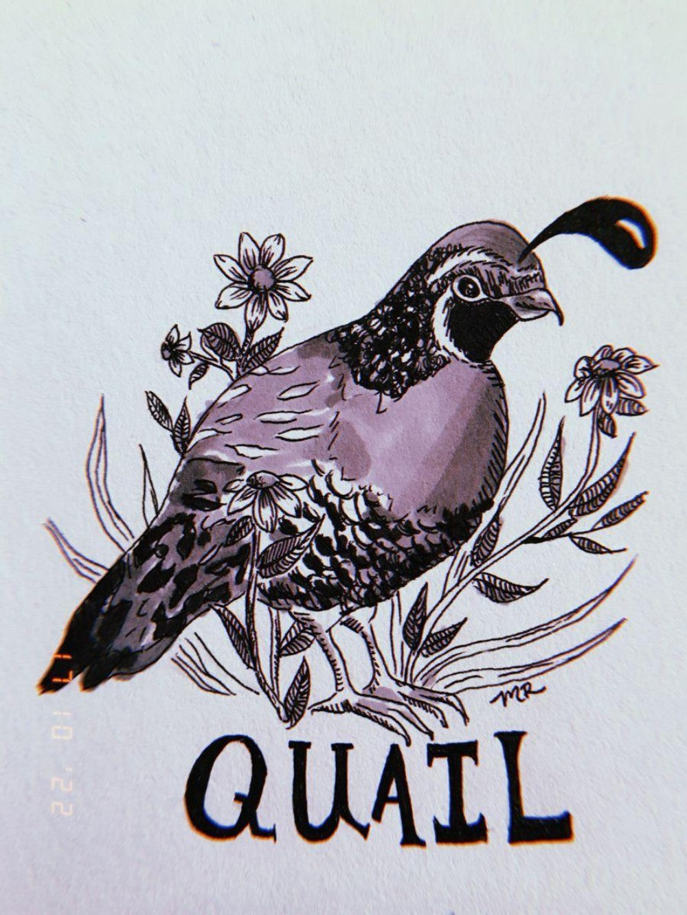 Quail | Diamond Painting