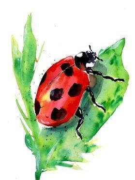 Ladybug | Diamond Painting