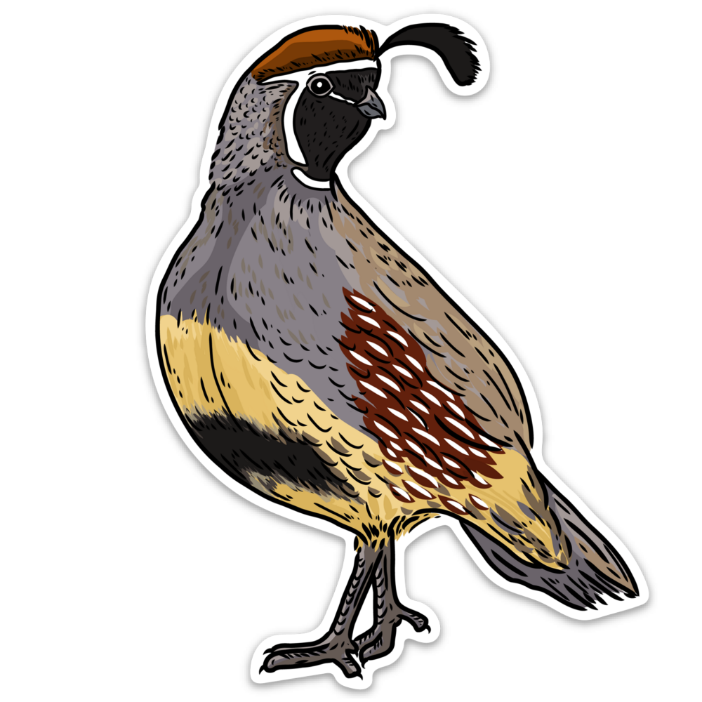 Quail | Diamond Painting