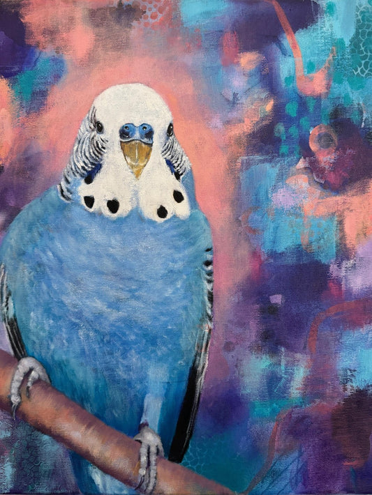 Budgie | Diamond Painting