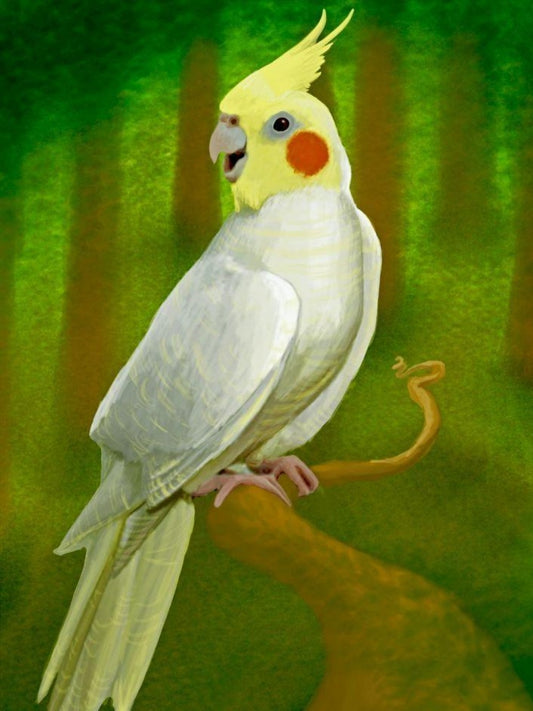 Cockatiel Parrot | Diamond Painting