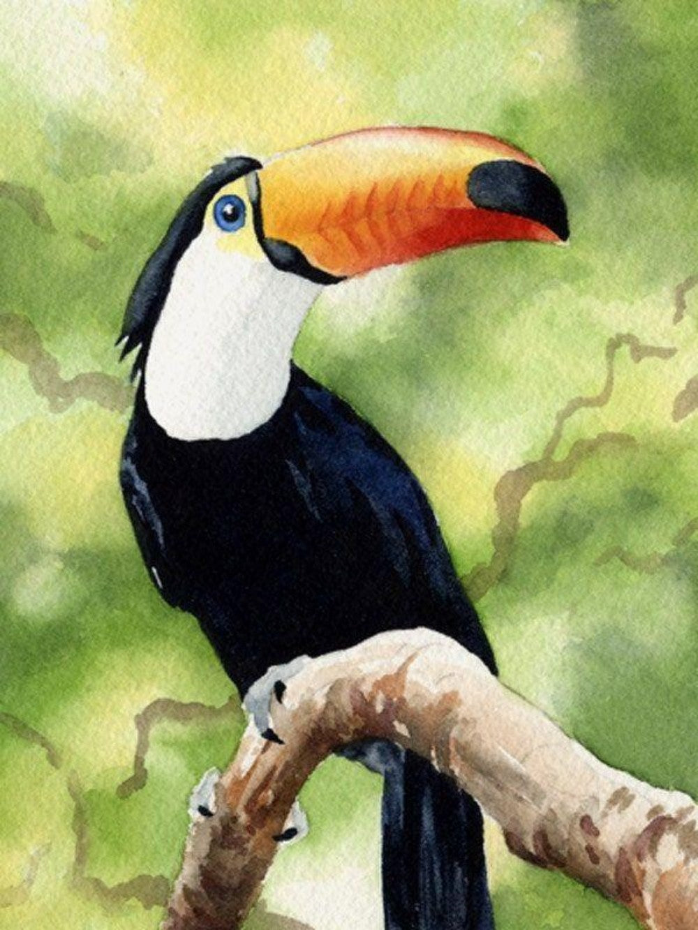 Toucan Bird | Diamond Painting