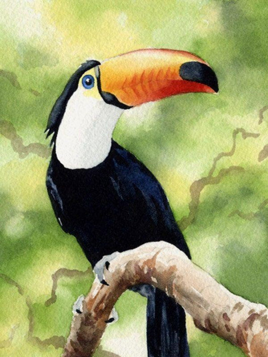 Toucan Bird | Diamond Painting