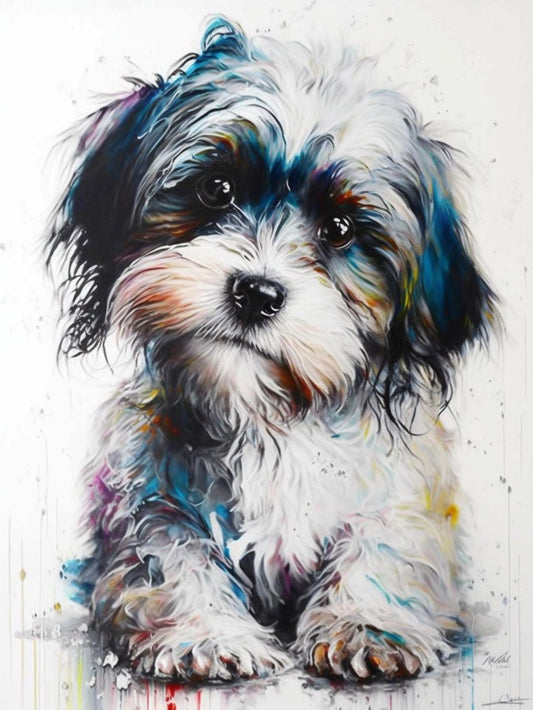 Havanese Dog | Diamond Painting