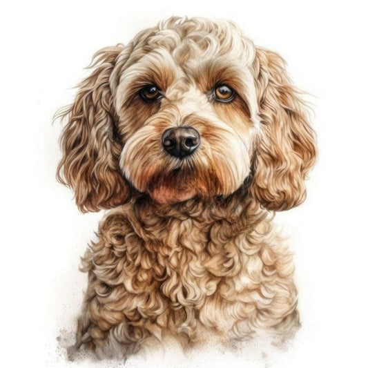 Cavapoo Dog | Diamond Painting