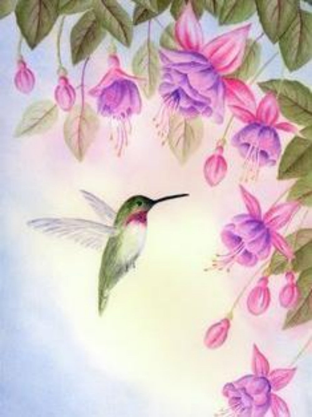 Hummingbird | Diamond Painting