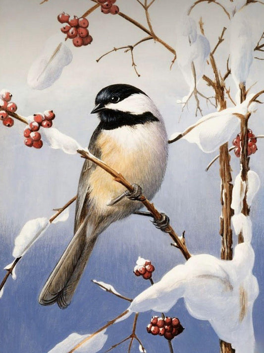 Chickadee | Diamond Painting