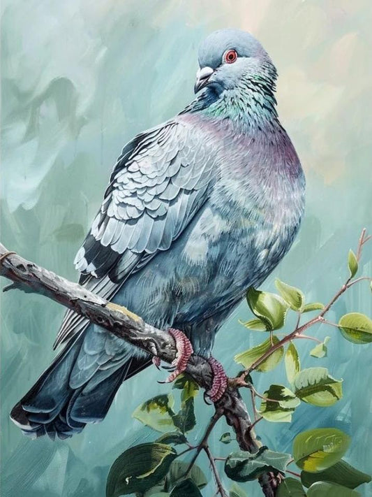 Pigeon | Diamond Painting