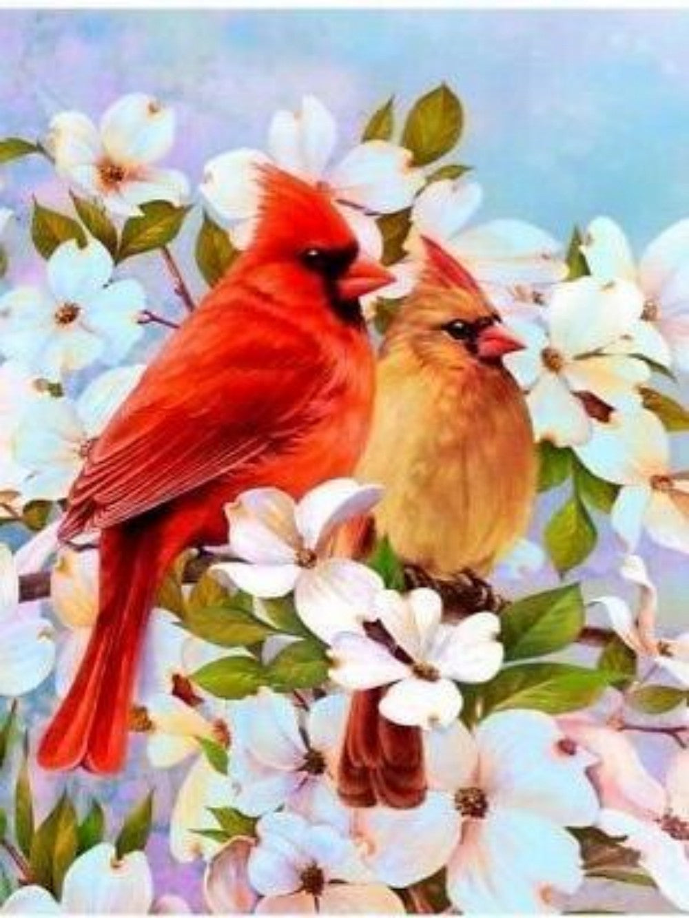 Birds and Flowers | Diamond Painting