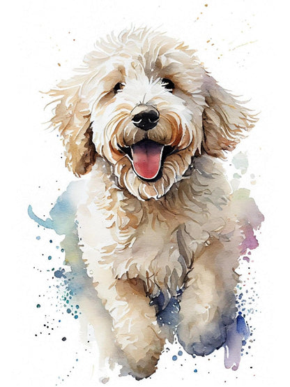Labradoodle Dog | Diamond Painting