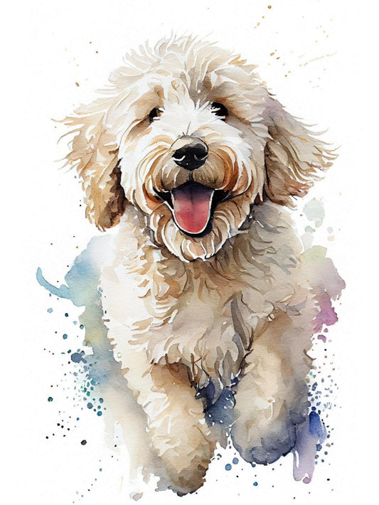Labradoodle Dog | Diamond Painting