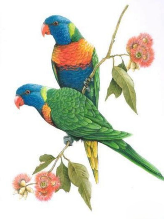 Rainbow Parrots | Diamond Painting