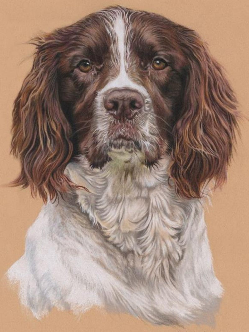 English Springer Spaniel Dog | Diamond Painting