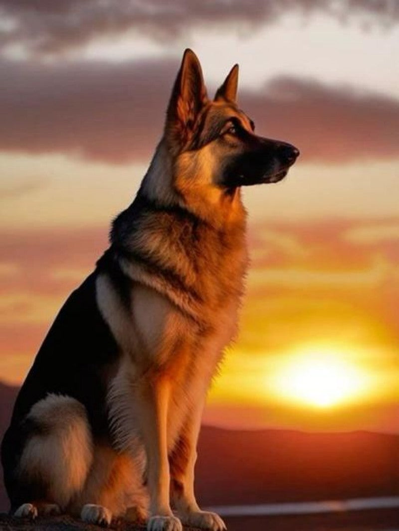 Dog German Shepherd | Diamond Painting
