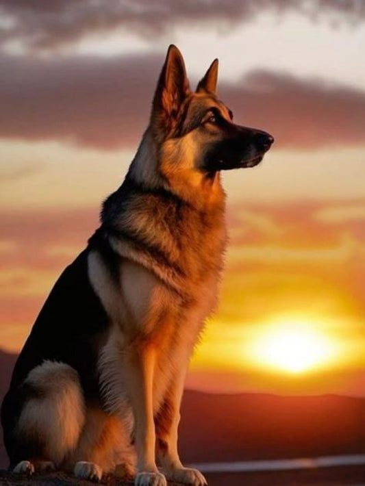 Dog German Shepherd | Diamond Painting