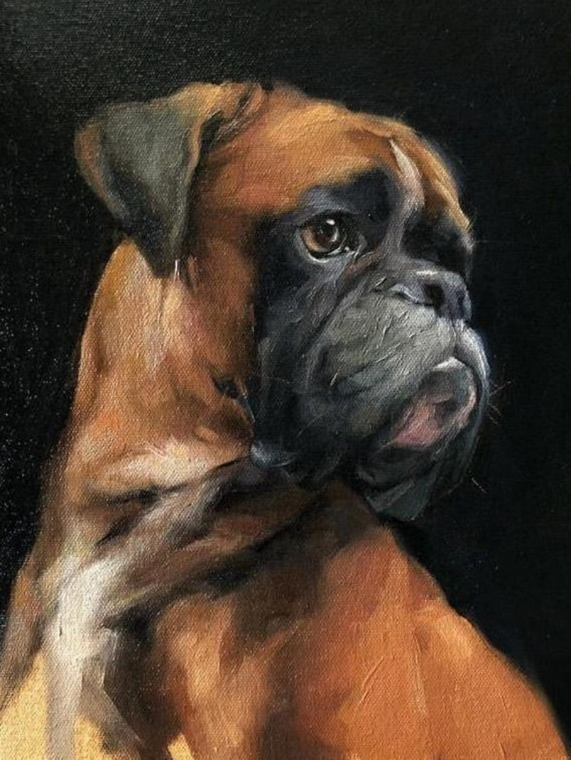 Boxer Dog | Diamond Painting
