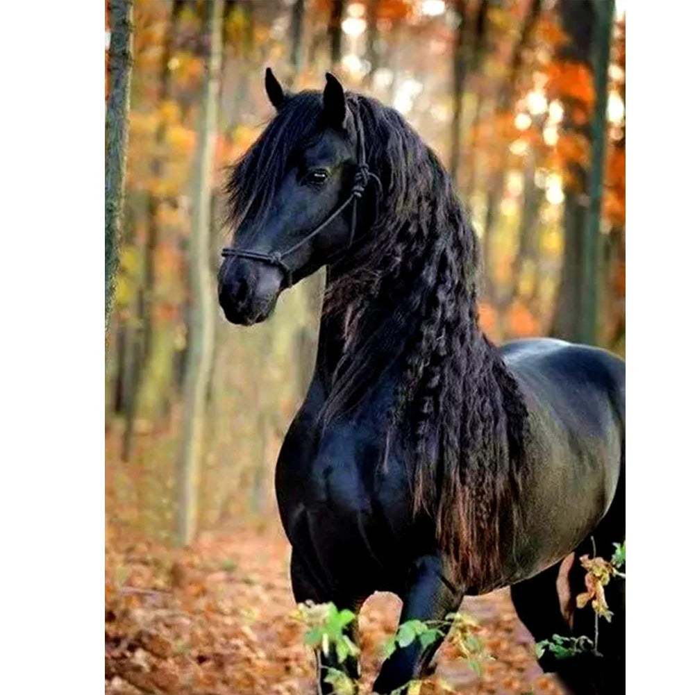 Black Horse | Diamond Painting