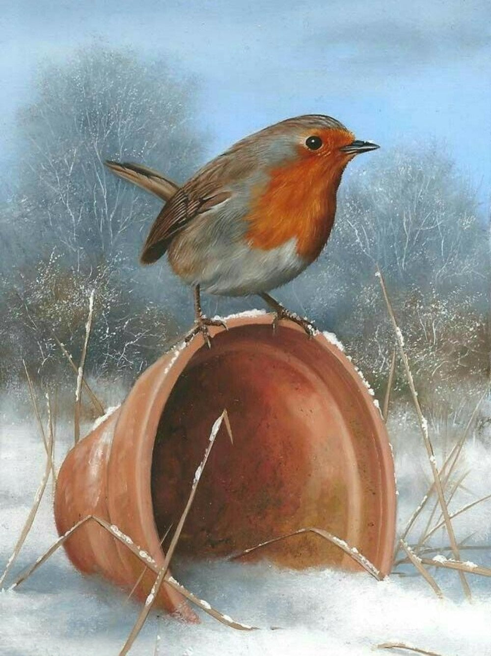 Robin Bird | Diamond Painting