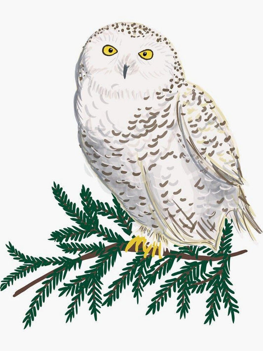 Snowy owl (White Owl) | Diamond Painting