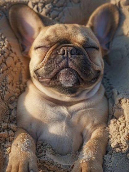 French Bulldog Dog | Diamond Painting