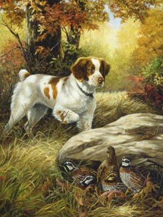 Brittany Spaniel Dog | Diamond Painting