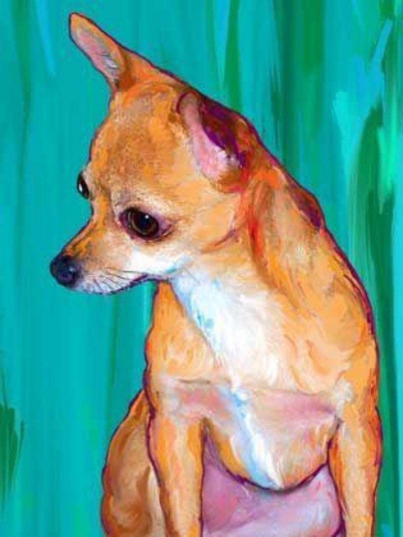 Dog Chihuahua | Diamond Painting