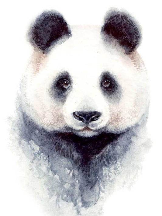Panda | Diamond Painting