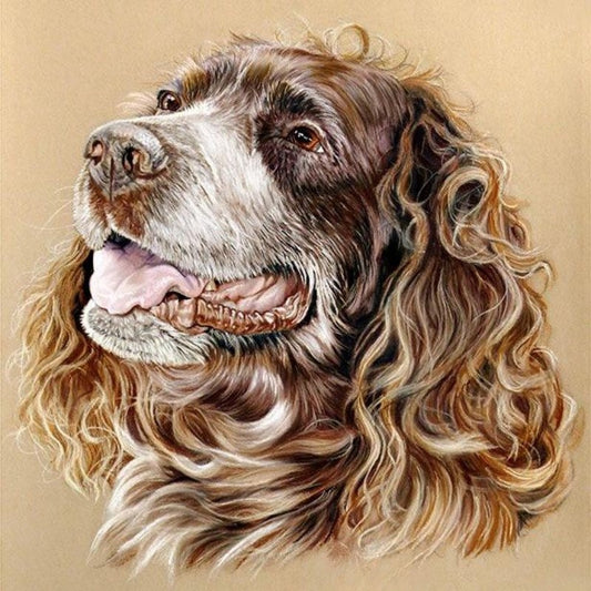 English Springer Spaniel Dog | Diamond Painting