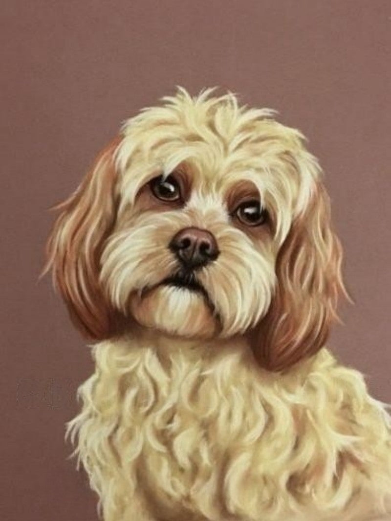 Cavapoo Dog | Diamond Painting