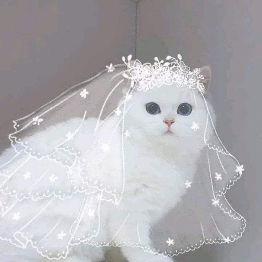 White Cat | Diamond Painting