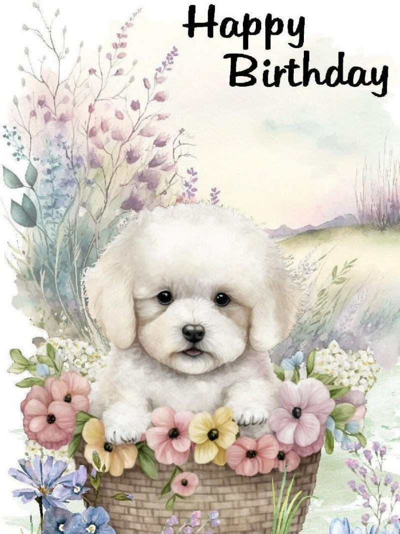 Dog Bichon Frise | Diamond Painting