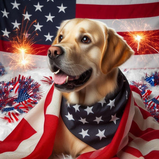 Yellow Labrador Dog | Diamond Painting