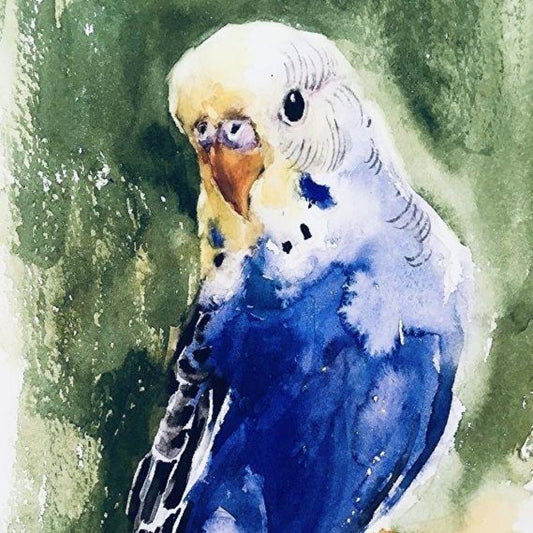 Budgie | Diamond Painting