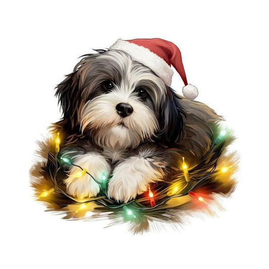 Havanese Dog | Diamond Painting
