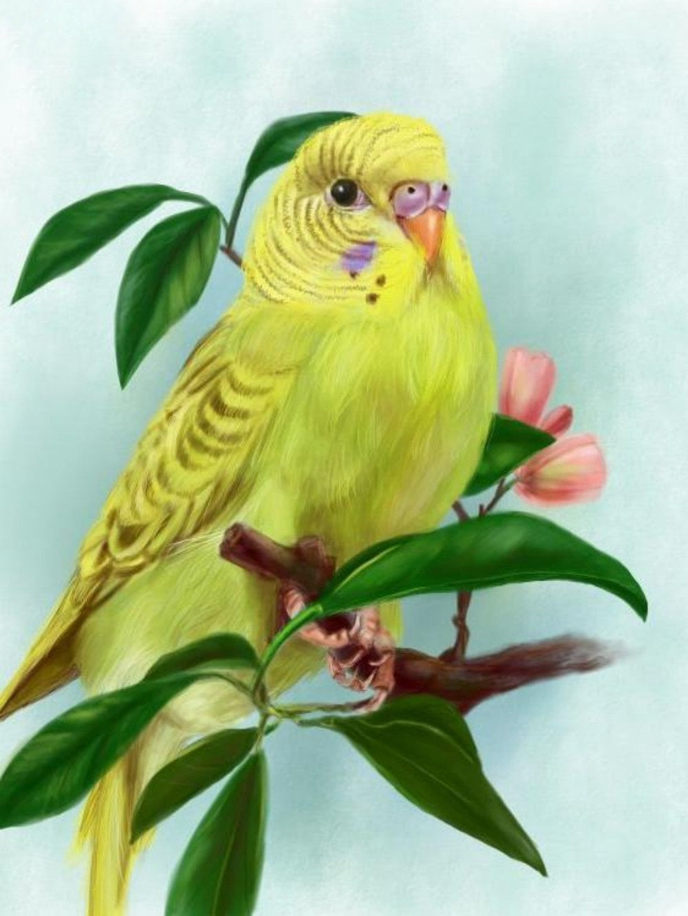 Budgie | Diamond Painting